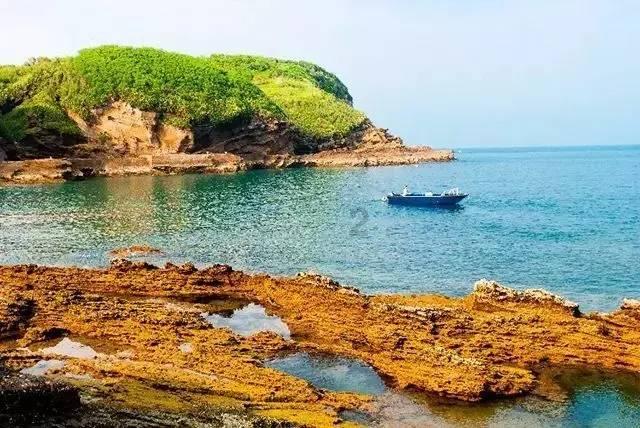 蝎子逃生之地